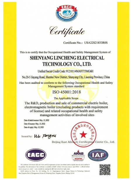 Китай shenyang lincheng Technology Co., Ltd Сертификаты